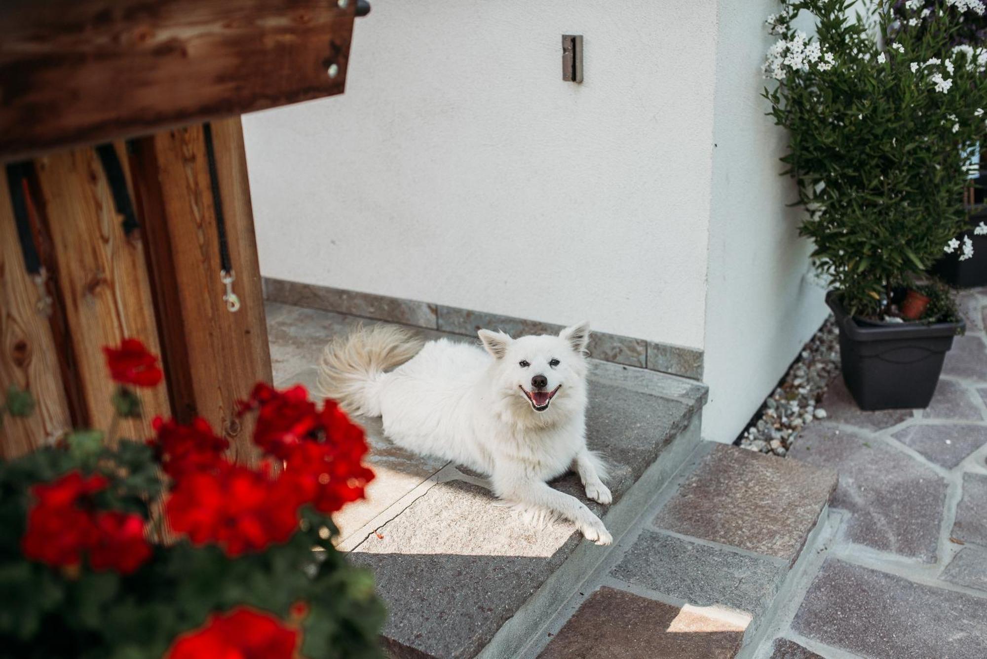 לוסון Grosskarnaiderhof Appartements-Bauernhof-Natur Pur מראה חיצוני תמונה